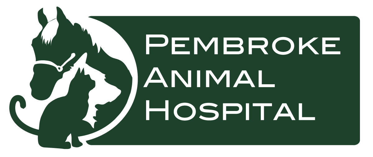Welcome to Pembroke Animal Hospital Logo