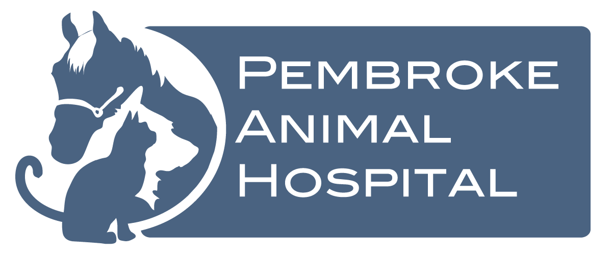 Welcome to Pembroke Animal Hospital Logo